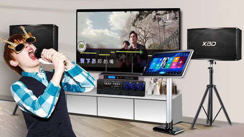 炫寶迪點(diǎn)歌機(jī)哪款型號更優(yōu)？音質(zhì)效果與評測全面解析